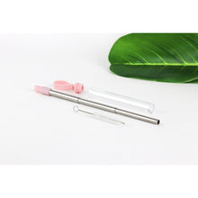 Load image into Gallery viewer, Expandable Stainless Steel Straw