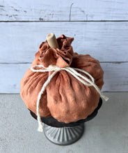 Load image into Gallery viewer, Minky Fabric Pumpkin With Natural Driftwood Stem

